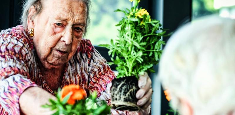 Mujer mayor plantando unas flores